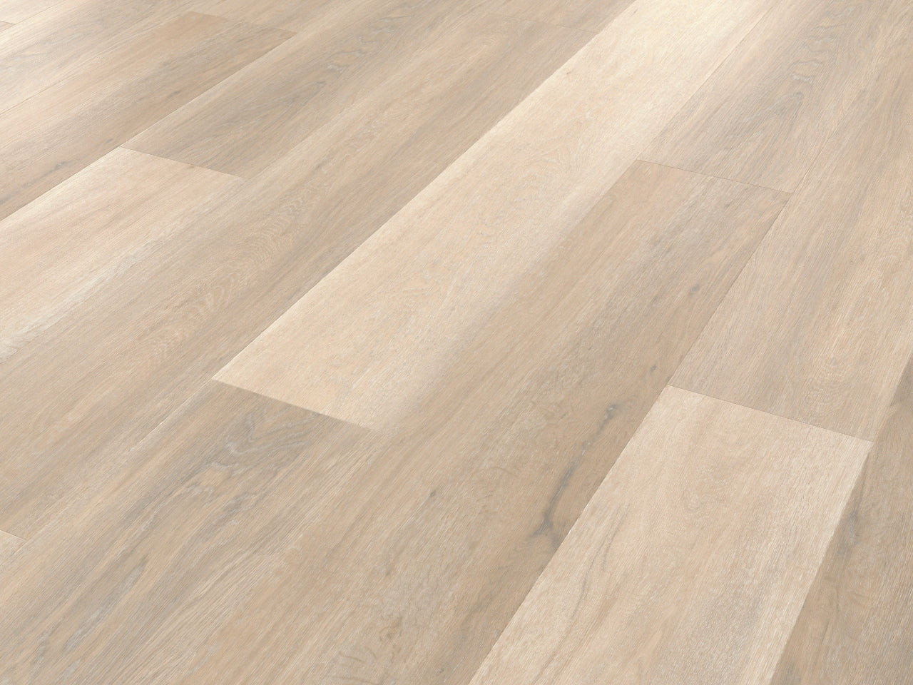 Texas White Ash Korlok LVT Pack