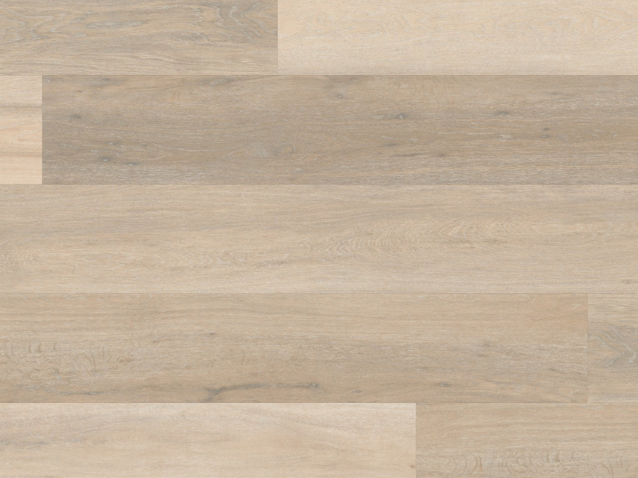 Texas White Ash Korlok LVT Pack