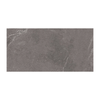 Spacerock Grey Tile