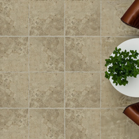 Winstone Nut Tile - 600x600mm